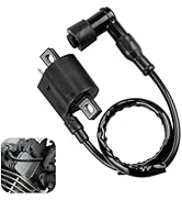 Hugwits Ignition Coil, High Heat Resistance Ignition Coil, Universal for CG 125cc 150cc 200cc 250...