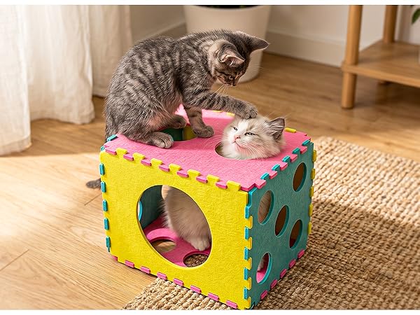 cat bed