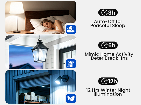 timer bulbs