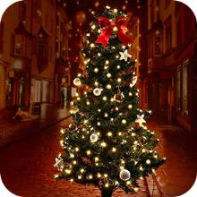 solar fairy light