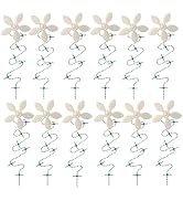 ?DrainWig Shower Drain Hair Catcher – Disposable White Flower (12-Pack) – No-Touch Hair Removal f...
