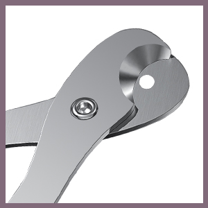 cat nailclipper