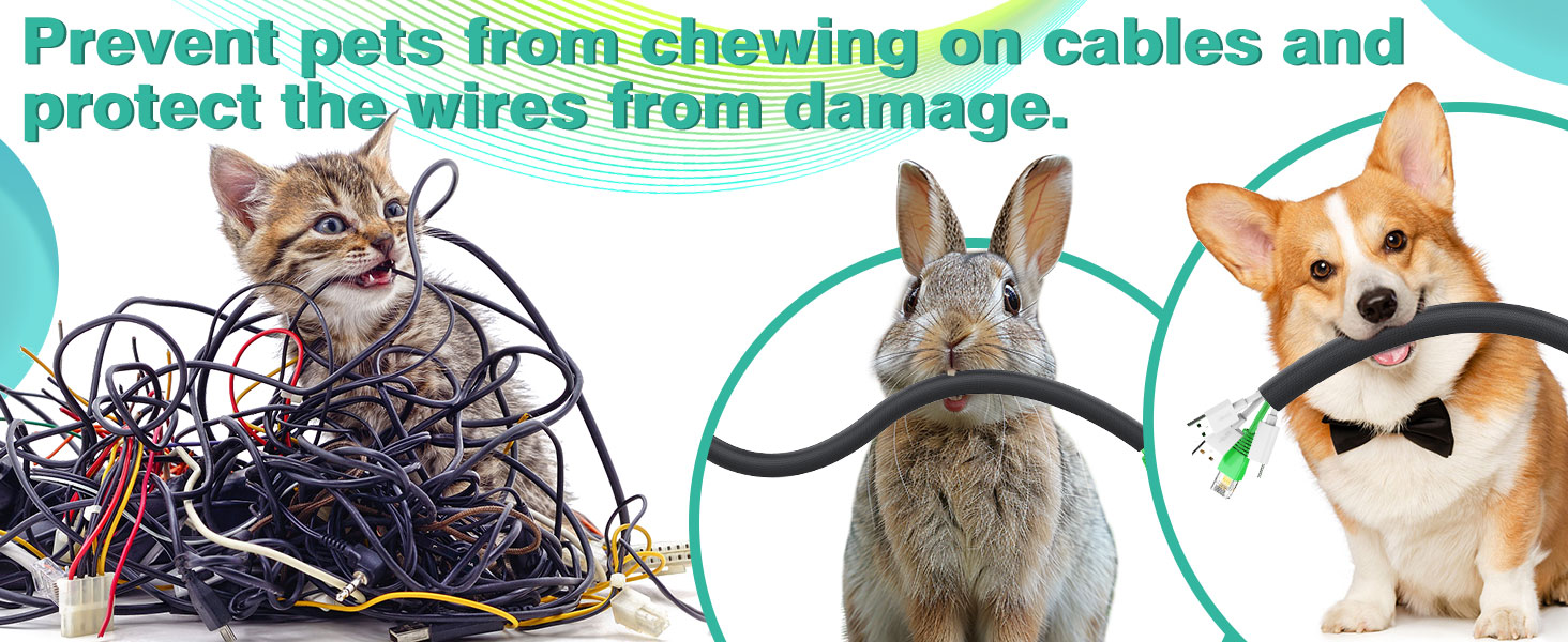 pet cord protect