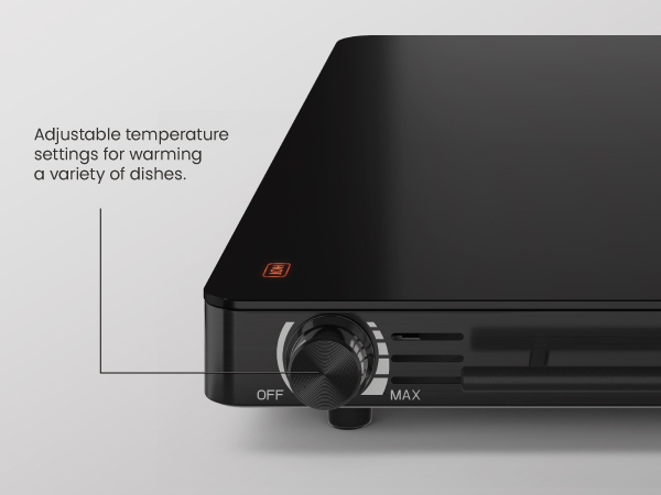 Adjustable temperature settings for warming a variety of dishes