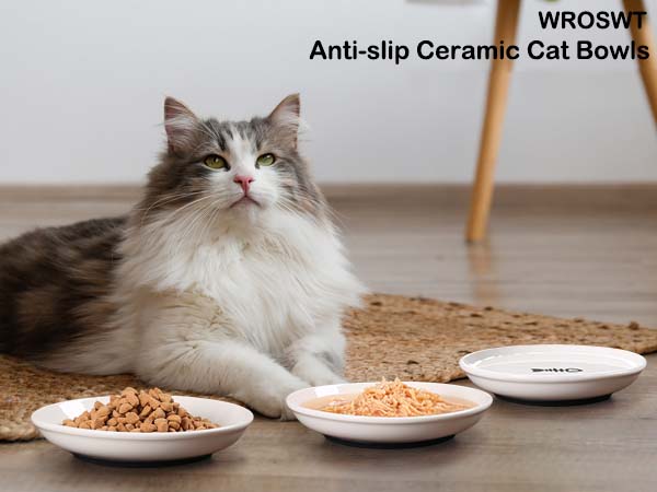 cat bowls