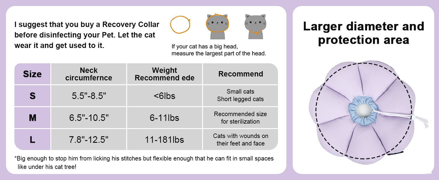 1-3cat cone