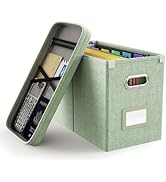 Oterri Hanging Filing File Box with Mesh Pocket, Organizer Lid, Collapsible Document for Letter S...