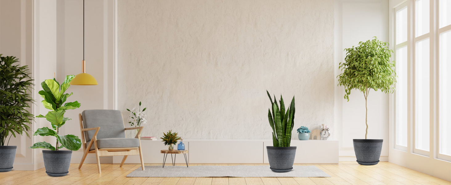 plant pots for indoor