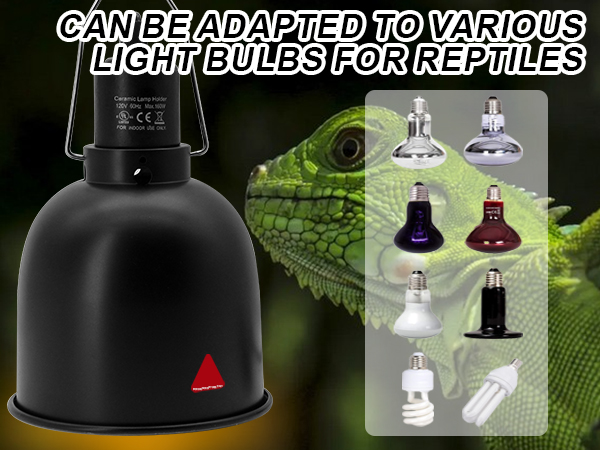reptile light fixture