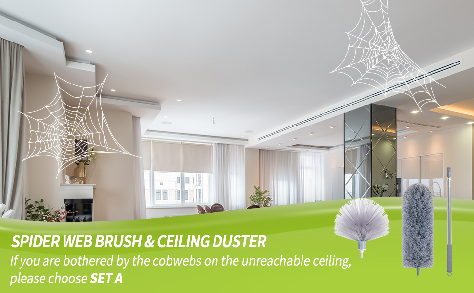 cobweb duster
