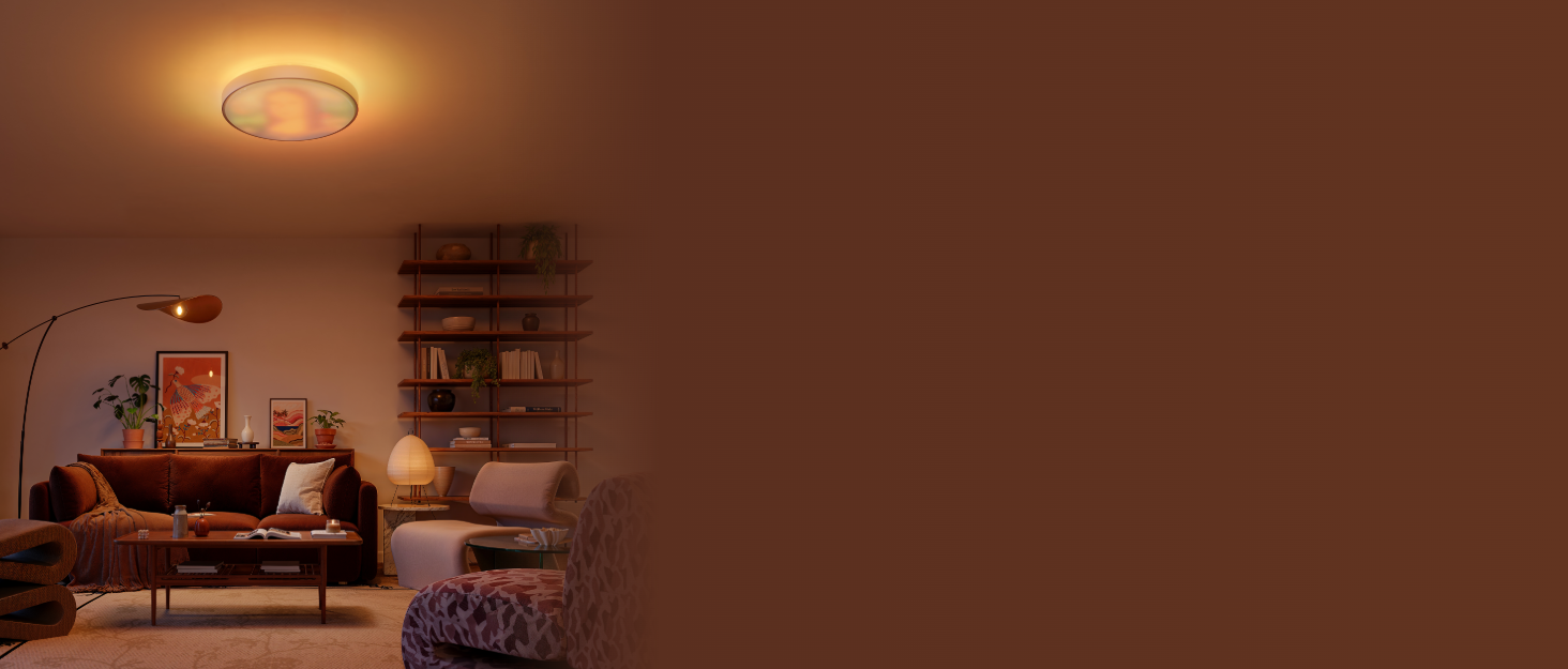 govee ceiling light