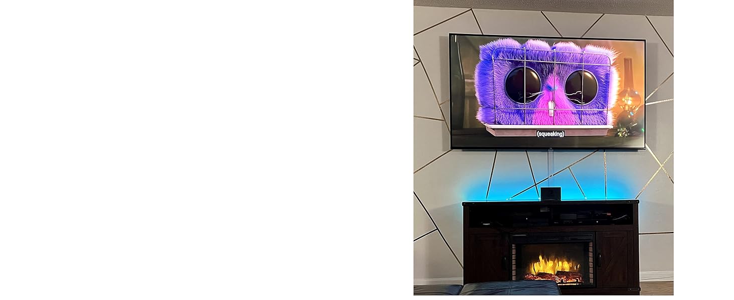 TV Cord Hider