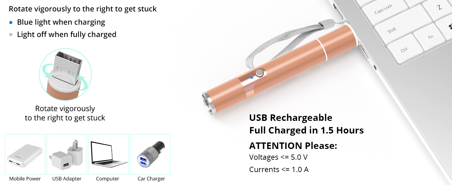 Rechargeable cat toy