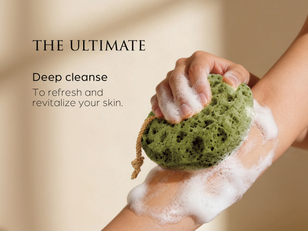 shower sponge