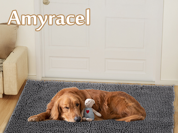 absorbent door mat indoor