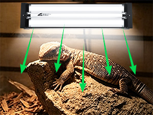 T5 10.0 UVB Reptile Light Fixture Combo Kit for Bearded Dragons Lizards Tortoises and Other Desert