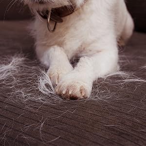 lint brush for pet hair