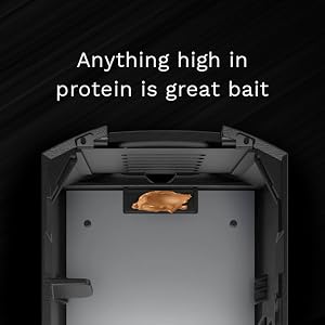 Convenient Bait Area