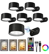 AMETHEUS Picture Lights for Wall, 2000mAh Rechargeable Magnetic Art Lights with 3 Color Temps & R...