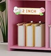 hanging file folders expanding