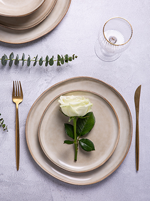 Dinner Plates