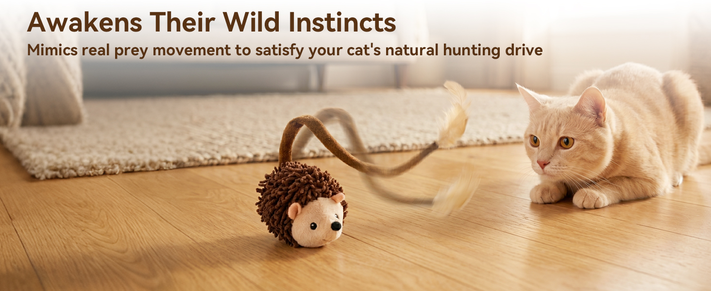 cat toy interactive hedgehog
