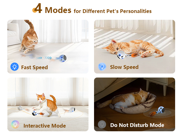 Cat Toy for Indoor Cats