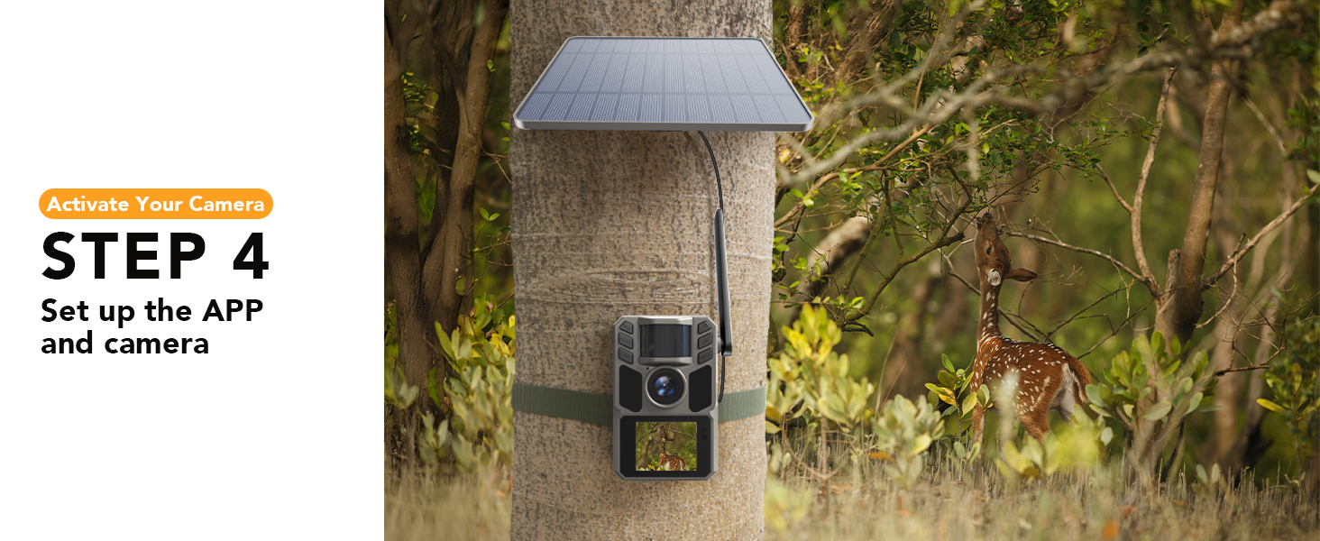 trail camera