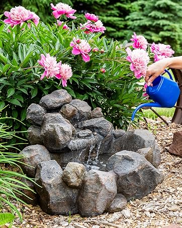 Outdoor rock water fountain near pink flowers getting filled with a blue watering can in a backyard