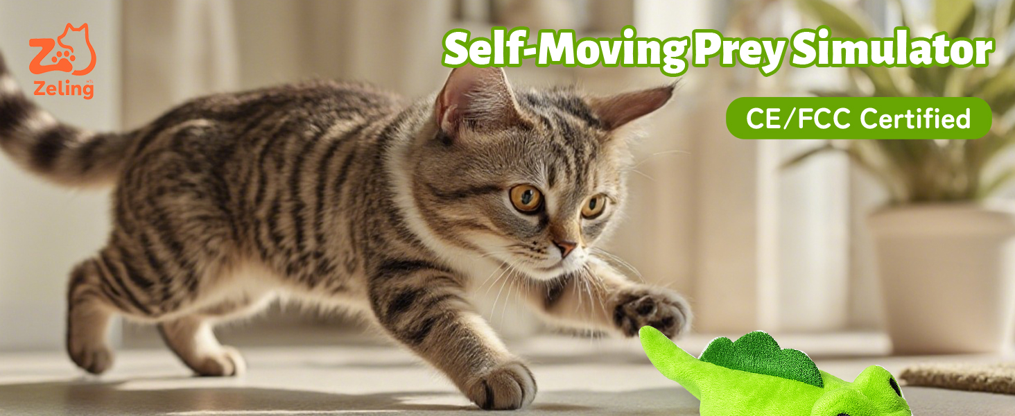 moving cat toy