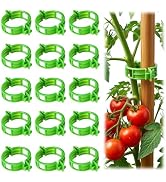 100pcs Tomato Clips for Climbing plants, Plastic Trellis Plant Support Clips for Garden, Reusable...