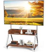 Rolling TV Stand with 2-Tier Wooden Shelf Stainless Steel Mobile TV Stand | Heavy-Duty Mobile TV ...