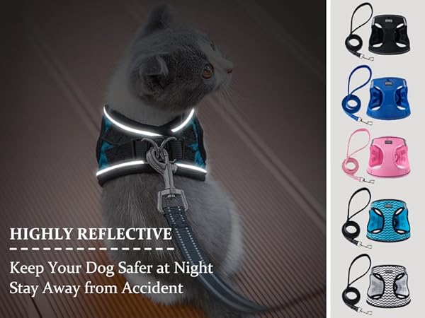 No-Pull Pet Harness with 2 Leash Clips, Adjustable Soft Padded Dog Vest
