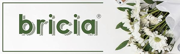 bricia