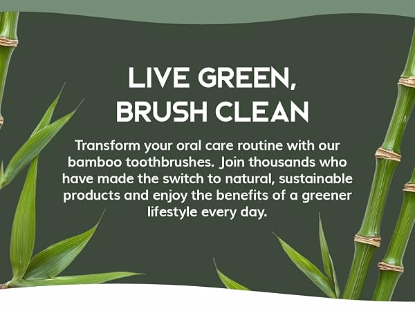 Greenzla Natural bamboo toothbrushes, travel toothbrush set, travel kit, toothbrushes for adults