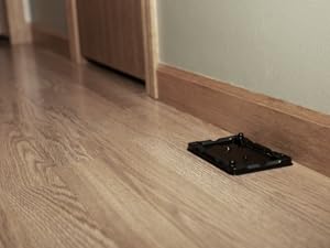 glue tray
