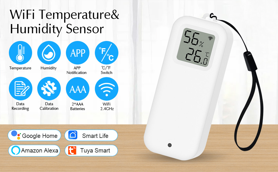 room thermometer indoor
