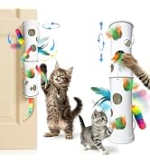 Cat Toys Interactive for Indoor Cats, Mounted Feather Automatic Enrichment Cat Toy with Speed Adj...