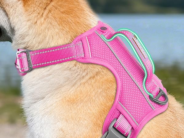 Top handle on dog collars harnesses leashes no pull dog harness for large dogs ruffwear dog harness