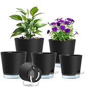 Meowell Self Watering Pots Pack of 6 – Different Size 4" to 7" Indoor Plant Pots with Drainage Ho...
