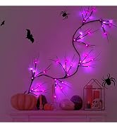Halloween Garland Decoration Lights Halloween Spider Lights 6.5FT 48LED Twig Vine Light Battery O...