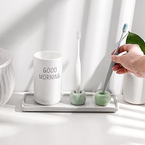 toothbrush shower holder