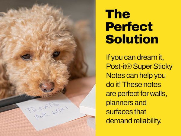 The Perfect Solution