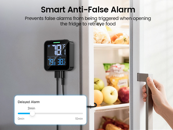 Refrigerator thermometer