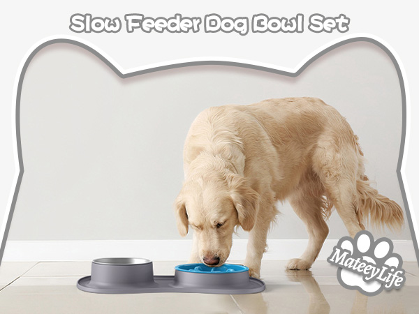 dog bowls