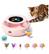 cat toys for indoor cats