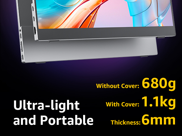 monitor portable
