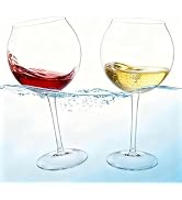 GOODLUCK 18oz Floating Pool Wine Glasses, Tritan Shatterproof Stemware Clear Plastic Wine Glasses...