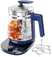 ICOOKPOT Hot Tea Maker Glass Electric Kettle with Tea Infuser and Temperature Control,1.5L Stainl...