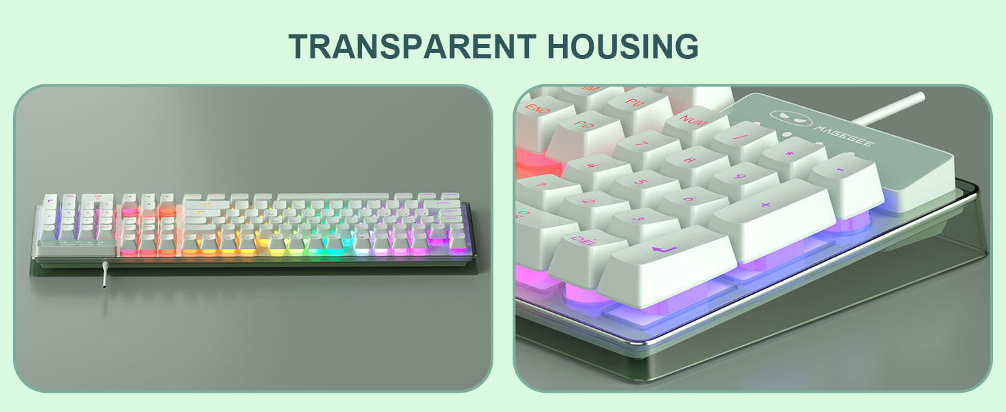 Transparent Housing
